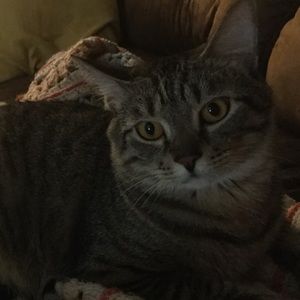 Meet your Posher, Zoe